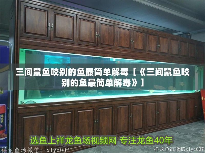 三間鼠魚(yú)咬別的魚(yú)最簡(jiǎn)單解毒【《三間鼠魚(yú)咬別的魚(yú)最簡(jiǎn)單解毒》】