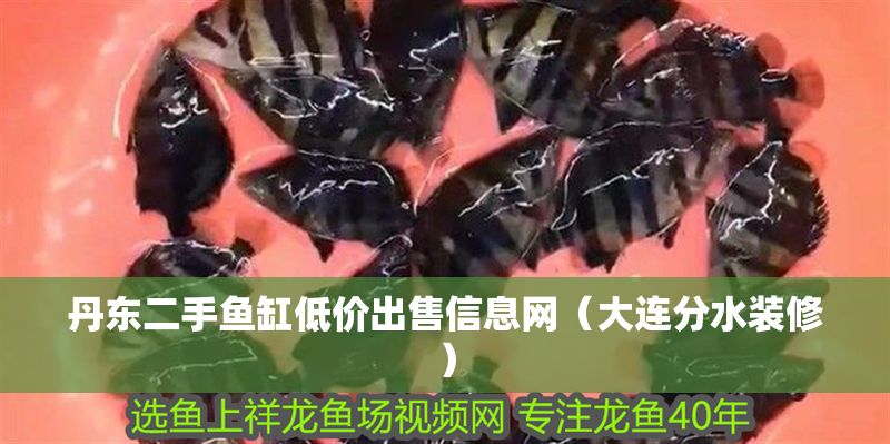 丹東二手魚缸低價出售信息網（大連分水裝修）