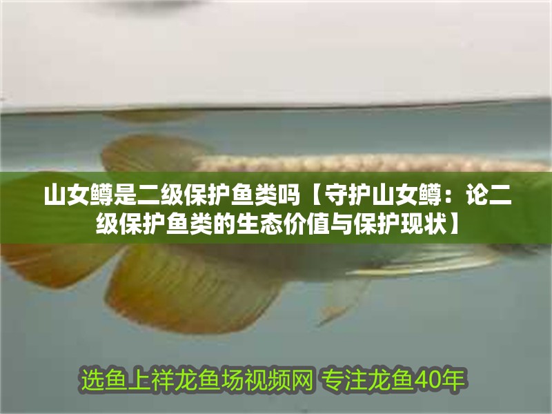 山女鱒是二級保護魚類嗎【守護山女鱒：論二級保護魚類的生態價值與保護現狀】