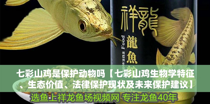 七彩山雞是保護動物嗎【七彩山雞生物學(xué)特征、生態(tài)價值、法律保護現(xiàn)狀及未來保護建議】 七彩山雞是保護動物嗎【七彩山雞生物學(xué)特征、生態(tài)價值、法律保護現(xiàn)狀及未來保護建議】 龍魚論壇