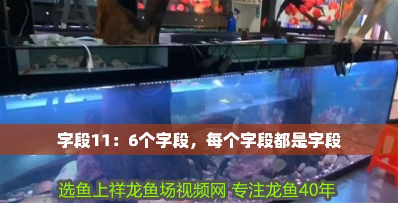 字段11：6個(gè)字段，每個(gè)字段都是字段