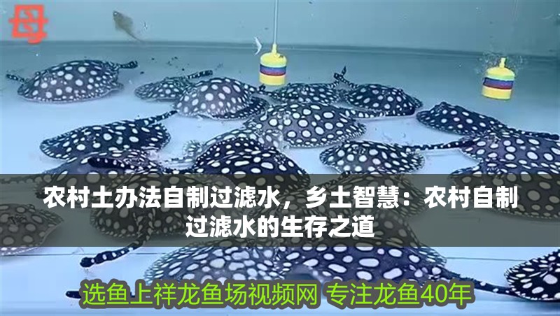 農村土辦法自制過濾水，鄉土智慧：農村自制過濾水的生存之道