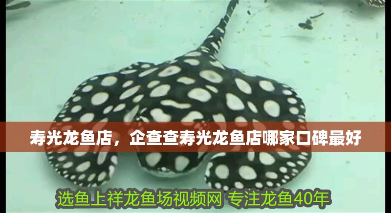 壽光龍魚店，企查查壽光龍魚店哪家口碑最好