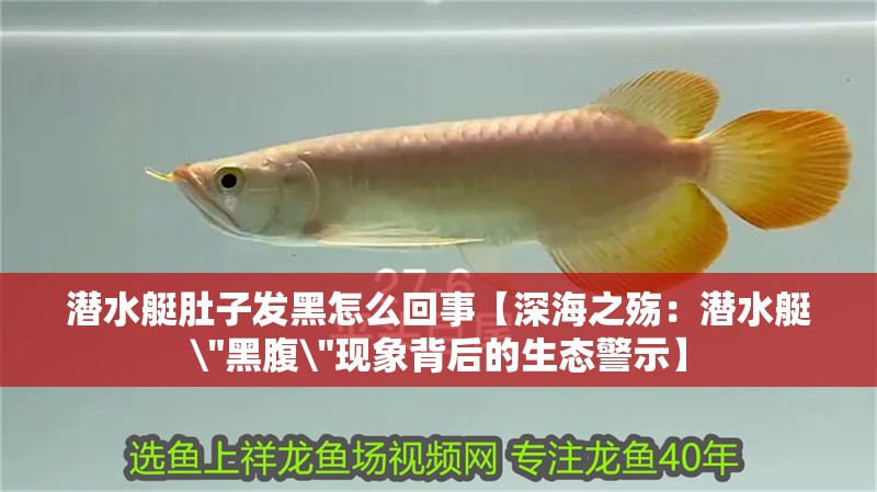 潛水艇肚子發黑怎么回事【深海之殤：潛水艇\