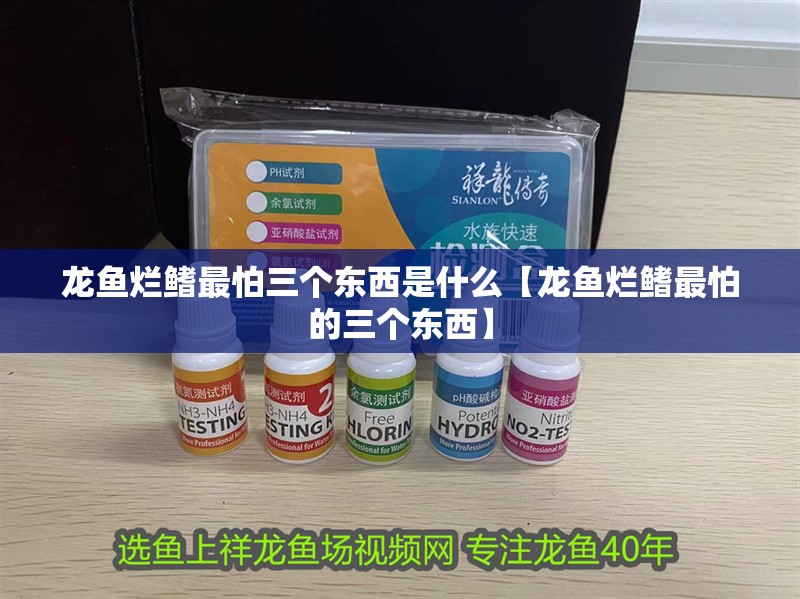 龍魚爛鰭最怕三個東西是什么【龍魚爛鰭最怕的三個東西】