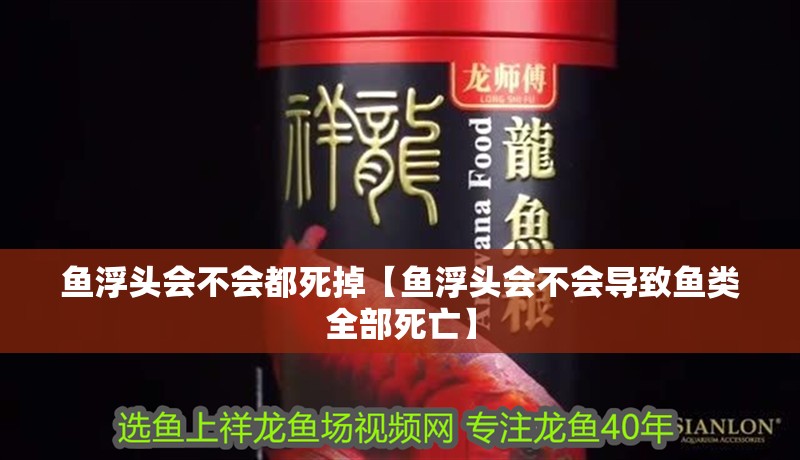 魚浮頭會(huì)不會(huì)都死掉【魚浮頭會(huì)不會(huì)導(dǎo)致魚類全部死亡】