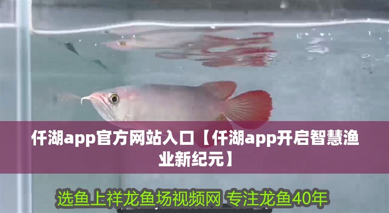 仟湖app官方網(wǎng)站入口【仟湖app開啟智慧漁業(yè)新紀元】