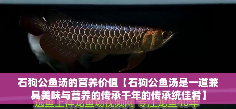 石狗公魚湯的營養價值【石狗公魚湯是一道兼具美味與營養的傳承千年的傳承統佳肴】