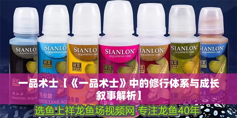 一品術(shù)士【《一品術(shù)士》中的修行體系與成長(zhǎng)敘事解析】