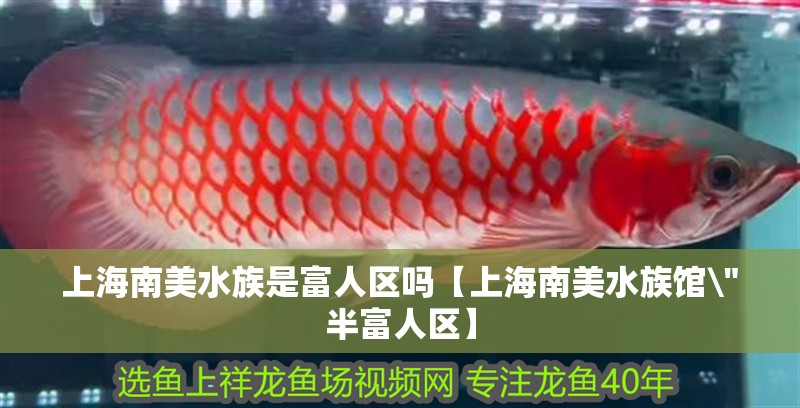 上海南美水族是富人區嗎【上海南美水族館\