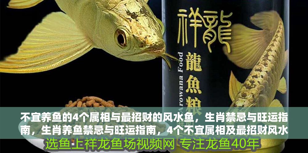 不宜養魚的4個屬相與最招財的風水魚，生肖禁忌與旺運指南，生肖養魚禁忌與旺運指南，4個不宜屬相及最招財風水魚