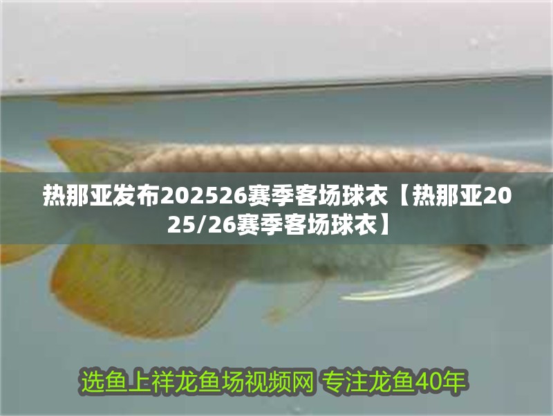 熱那亞發布202526賽季客場球衣【熱那亞2025/26賽季客場球衣】 熱那亞發布202526賽季客場球衣【熱那亞2025/26賽季客場球衣】 龍魚論壇