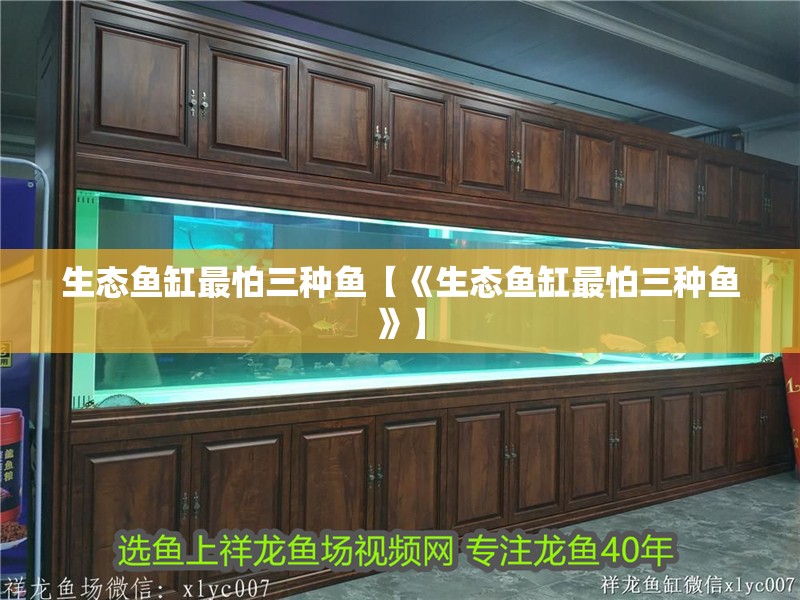 生態魚缸最怕三種魚【《生態魚缸最怕三種魚》】