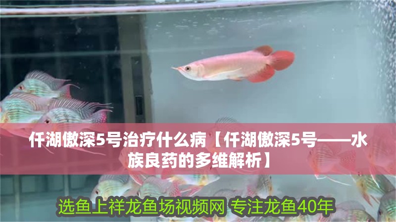 仟湖傲深5號治療什么病【仟湖傲深5號——水族良藥的多維解析】