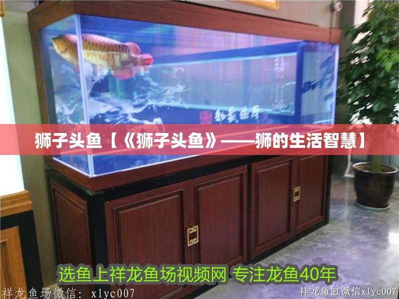 獅子頭魚(yú)【《獅子頭魚(yú)》——獅的生活智慧】