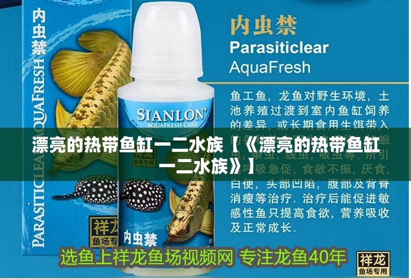 漂亮的熱帶魚缸一二水族【《漂亮的熱帶魚缸一二水族》】