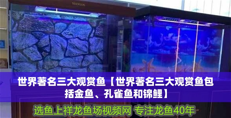 世界著名三大觀賞魚【世界著名三大觀賞魚包括金魚、孔雀魚和錦鯉】