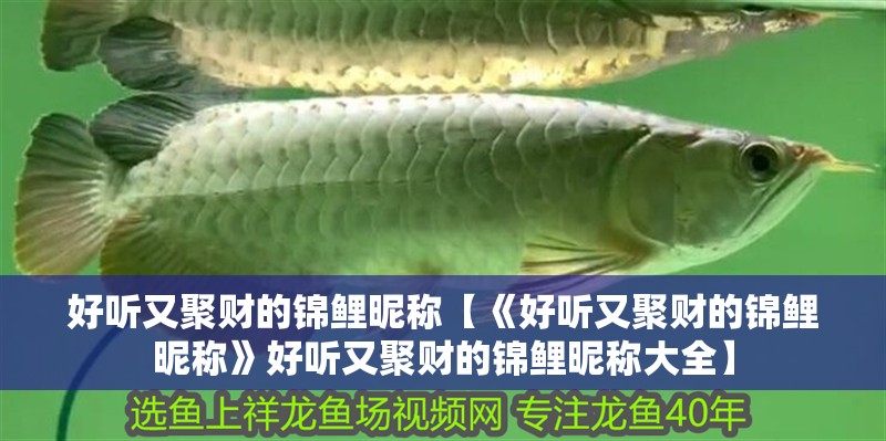 好聽又聚財?shù)腻\鯉昵稱【《好聽又聚財?shù)腻\鯉昵稱》好聽又聚財?shù)腻\鯉昵稱大全】