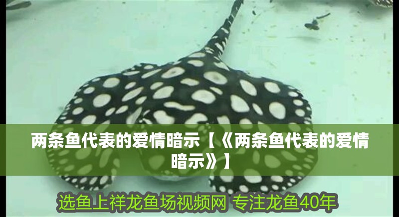 兩條魚代表的愛情暗示【《兩條魚代表的愛情暗示》】