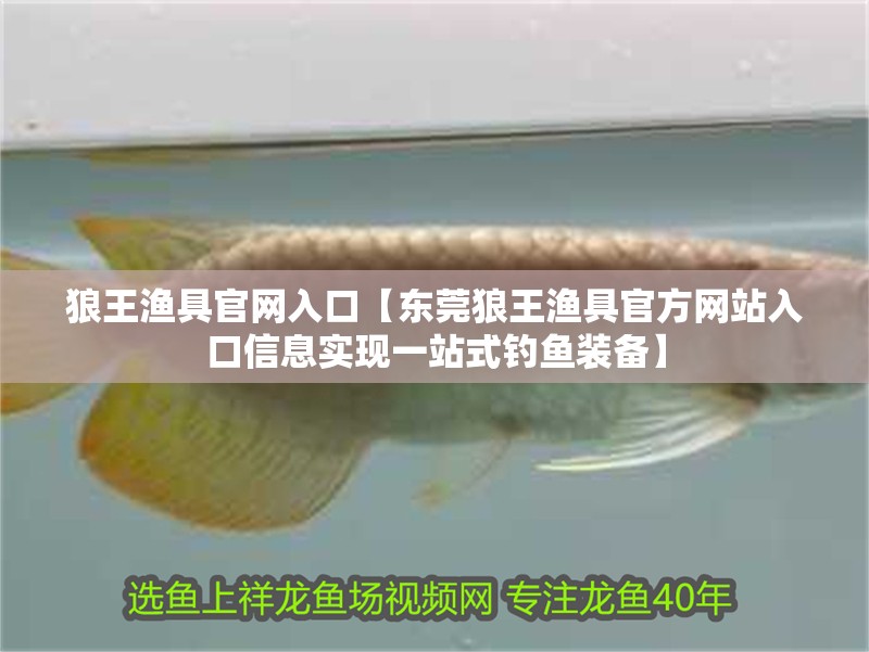 狼王漁具官網(wǎng)入口【東莞狼王漁具官方網(wǎng)站入口信息實(shí)現(xiàn)一站式釣魚裝備】