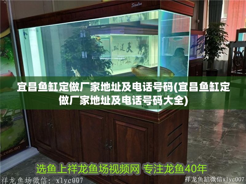 宜昌魚缸定做廠家地址及電話號碼(宜昌魚缸定做廠家地址及電話號碼大全) 元寶鳳凰魚百科 第1張 宜昌魚缸定做廠家地址及電話號碼(宜昌魚缸定做廠家地址及電話號碼大全) 宜昌魚缸定做廠家地址及電話號碼(宜昌魚缸定做廠家地址及電話號碼大全) 元寶鳳凰魚百科 第1張