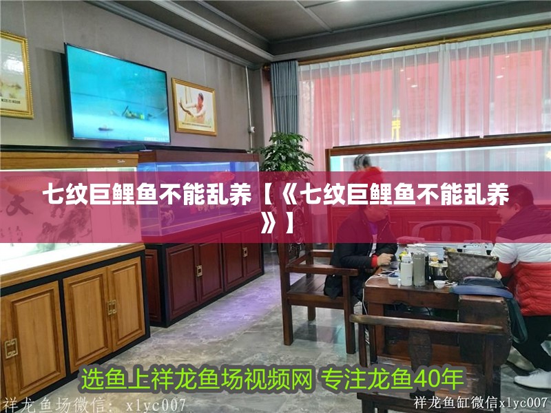 七紋巨鯉魚不能亂養【《七紋巨鯉魚不能亂養》】
