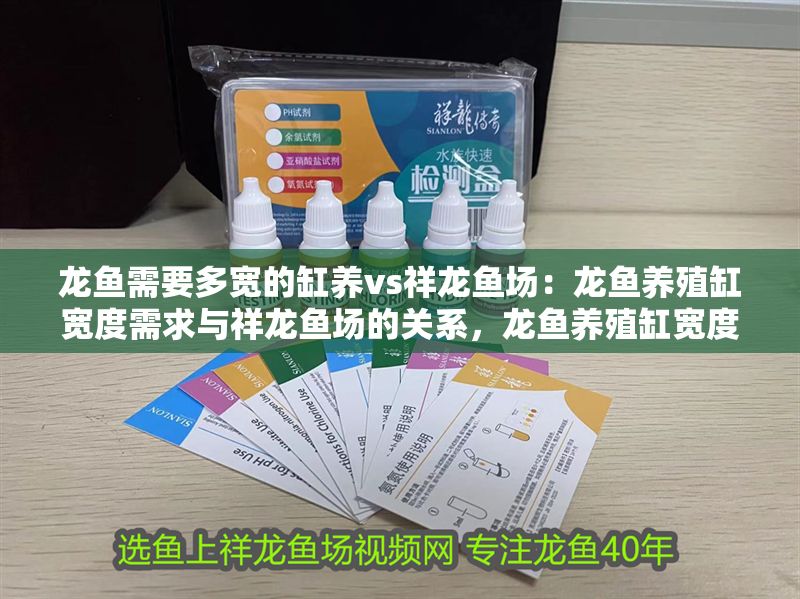 龍魚需要多寬的缸養vs祥龍魚場：龍魚養殖缸寬度需求與祥龍魚場的關系，龍魚養殖缸寬度需求