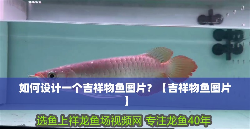 如何設(shè)計(jì)一個(gè)吉祥物魚圖片？【吉祥物魚圖片】