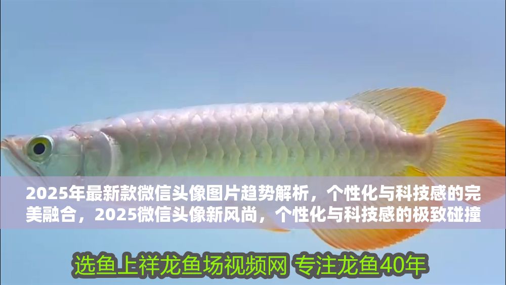 2025年最新款微信頭像圖片趨勢(shì)解析，個(gè)性化與科技感的完美融合，2025微信頭像新風(fēng)尚，個(gè)性化與科技感的極致碰撞