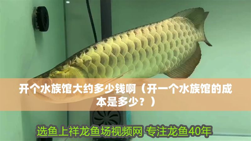 開個水族館大約多少錢?。ㄩ_一個水族館的成本是多少？）