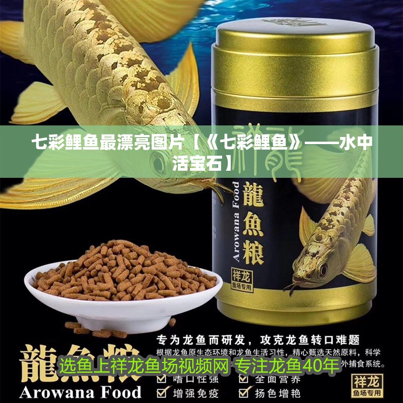 七彩鯉魚最漂亮圖片【《七彩鯉魚》——水中活寶石】