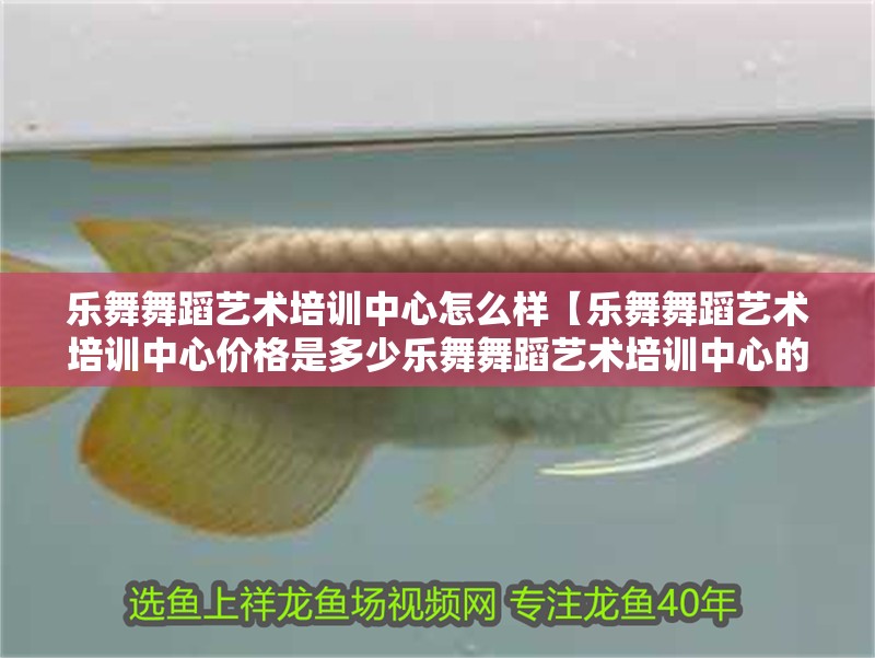 樂舞舞蹈藝術培訓中心怎么樣【樂舞舞蹈藝術培訓中心價格是多少樂舞舞蹈藝術培訓中心的位置在哪】