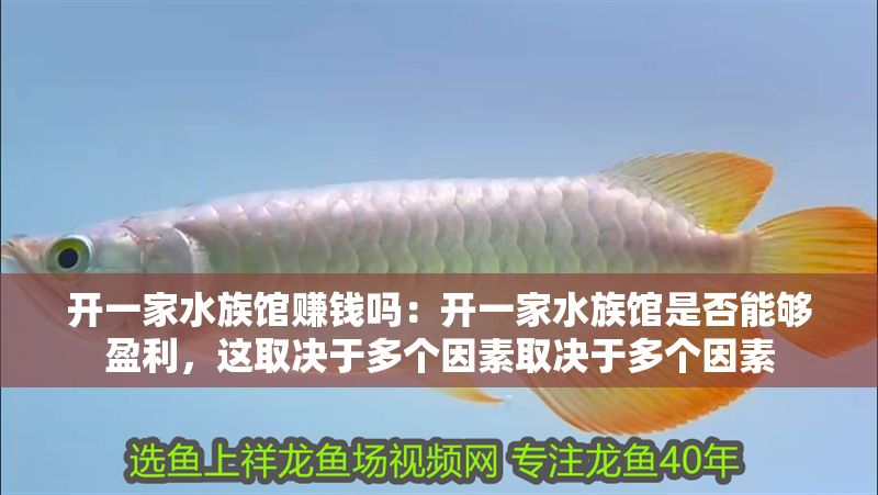 開一家水族館賺錢嗎：開一家水族館是否能夠盈利，這取決于多個因素取決于多個因素