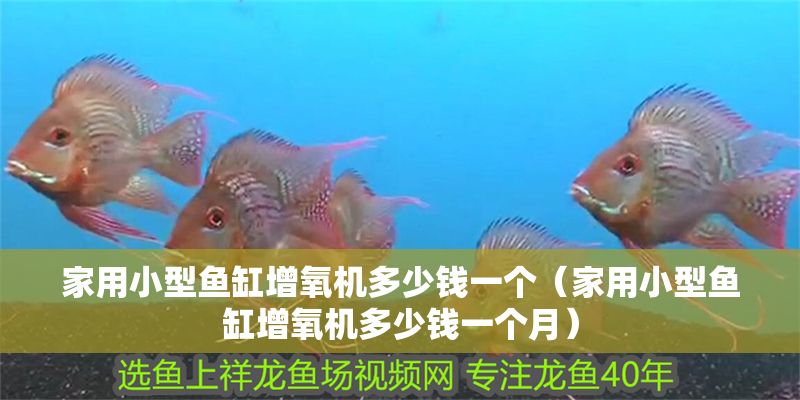 家用小型魚缸增氧機多少錢一個（家用小型魚缸增氧機多少錢一個月）