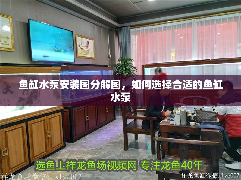 魚缸水泵安裝圖分解圖，如何選擇合適的魚缸水泵