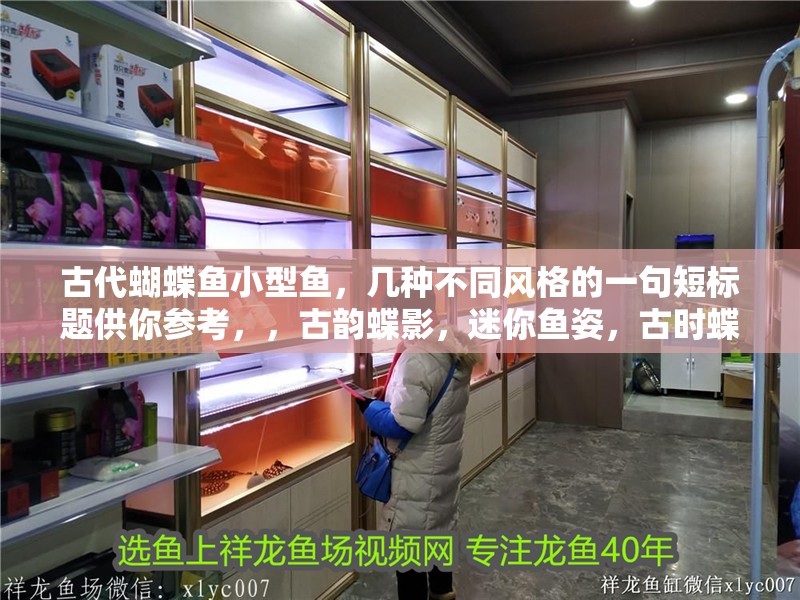 古代蝴蝶魚小型魚，幾種不同風格的一句短標題供你參考，，古韻蝶影，迷你魚姿，古時蝶趣，嬌小靈魚，古風蝶漾