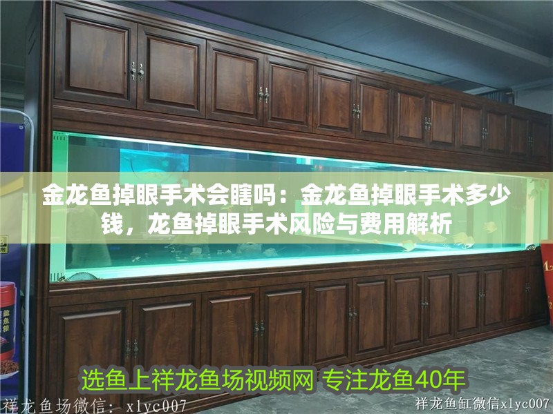 金龍魚掉眼手術會瞎嗎：金龍魚掉眼手術多少錢，龍魚掉眼手術風險與費用解析