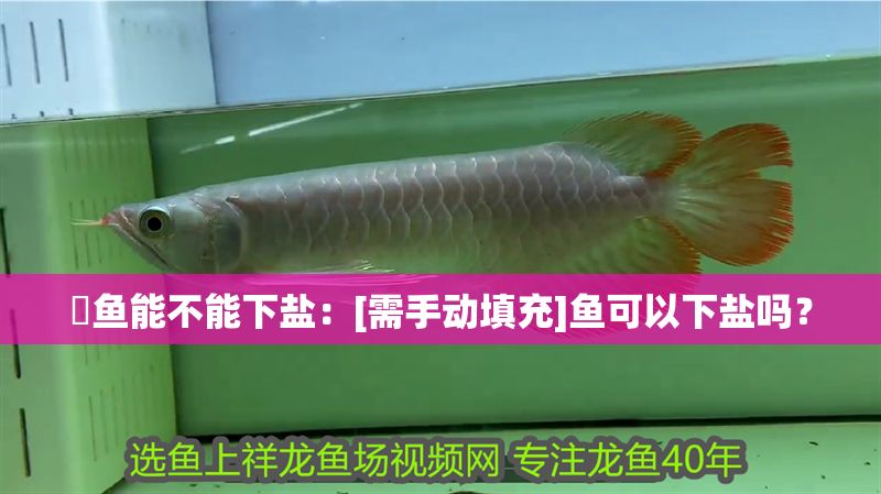 魟魚能不能下鹽：[需手動填充]魚可以下鹽嗎？