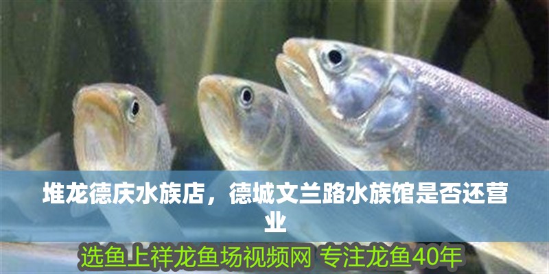 堆龍德慶水族店，德城文蘭路水族館是否還營業