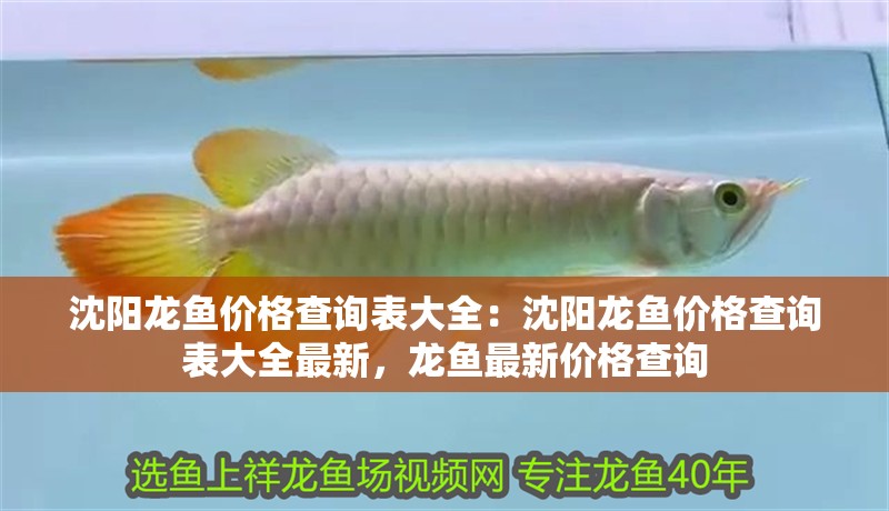 沈陽龍魚價格查詢表大全：沈陽龍魚價格查詢表大全最新，龍魚最新價格查詢