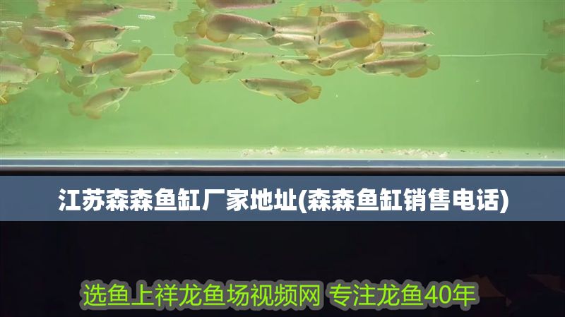 江蘇森森魚(yú)缸廠家地址(森森魚(yú)缸銷(xiāo)售電話)