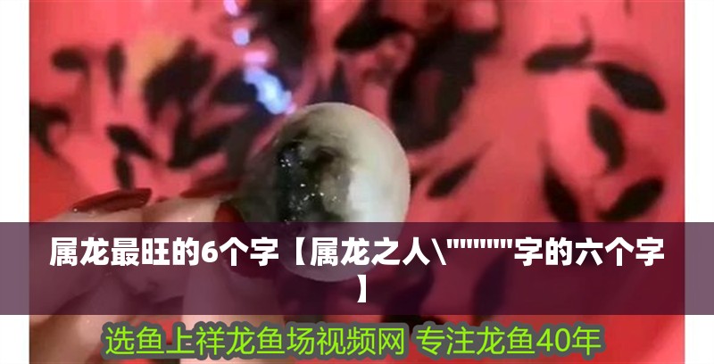 屬龍最旺的6個(gè)字【屬龍之人\