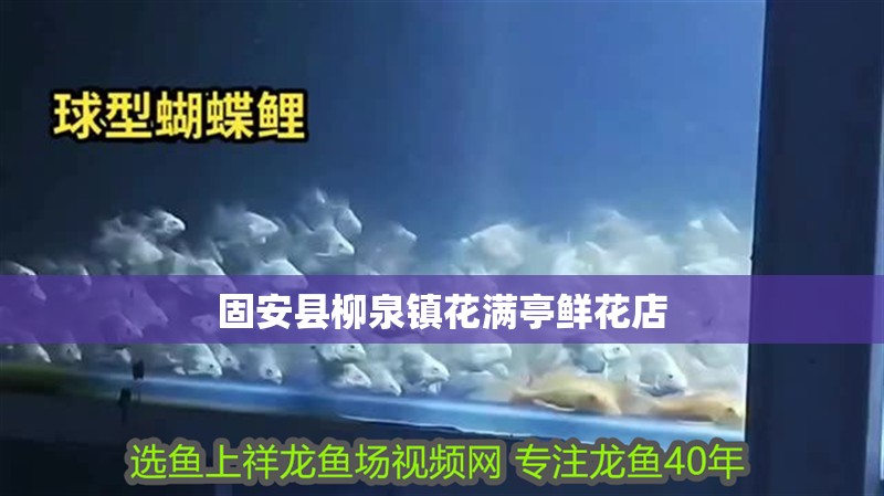 固安縣柳泉鎮花滿亭鮮花店