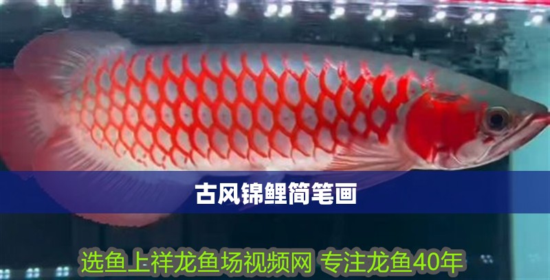 古風錦鯉簡筆畫