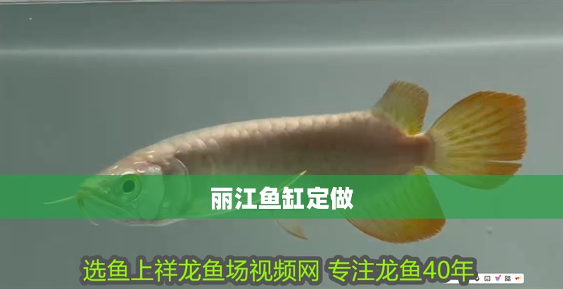 麗江魚缸定做