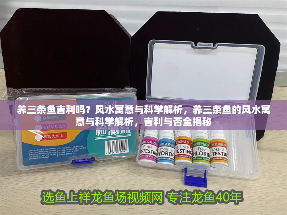 養(yǎng)三條魚(yú)吉利嗎？風(fēng)水寓意與科學(xué)解析，養(yǎng)三條魚(yú)的風(fēng)水寓意與科學(xué)解析，吉利與否全揭秘