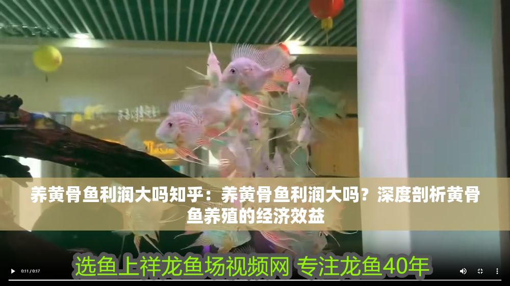 養(yǎng)黃骨魚利潤大嗎知乎：養(yǎng)黃骨魚利潤大嗎？深度剖析黃骨魚養(yǎng)殖的經(jīng)濟(jì)效益