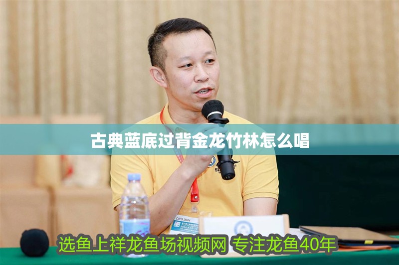 古典藍底過背金龍竹林怎么唱