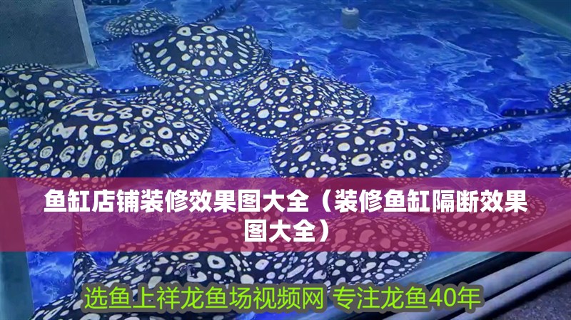 魚缸店鋪裝修效果圖大全（裝修魚缸隔斷效果圖大全）