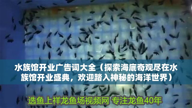 水族館開業(yè)廣告詞大全（探索海底奇觀盡在水族館開業(yè)盛典，歡迎踏入神秘的海洋世界）